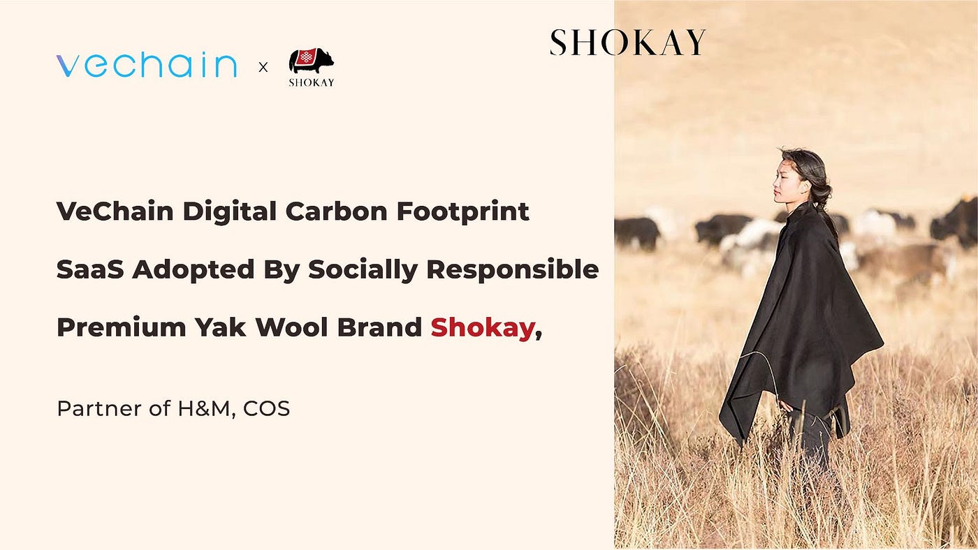 Vechain S Carbon Footprint Saas Platform Adopted By Socially Responsible Premium Yak Wool Brand Shokay Partner Of H M Cos By Vechain Foundation Vechain Foundation Oct 21 Medium