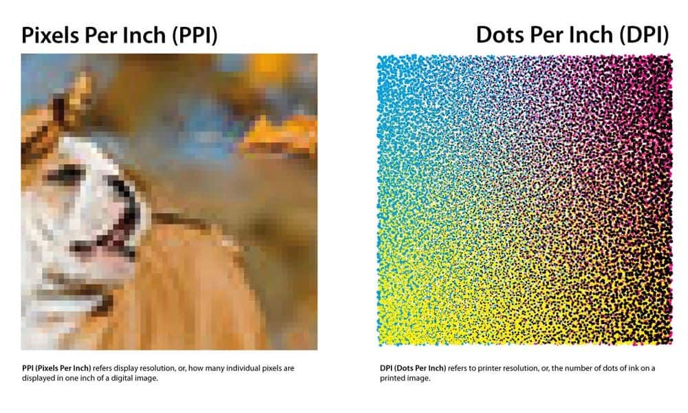 DPI VS PPI — What's the Difference? Online & Print Resolution Explained |  by Inkbot Design | Medium