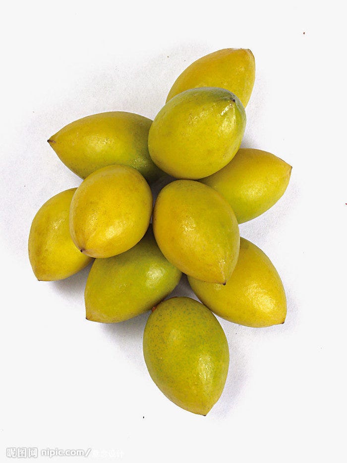 关于桂花 月桂 肉桂的一些考据 中国古代对物种的分类多数来自形态 用途 气味等的相似 因此可能本来不同科属种的物 By 谭樊马克