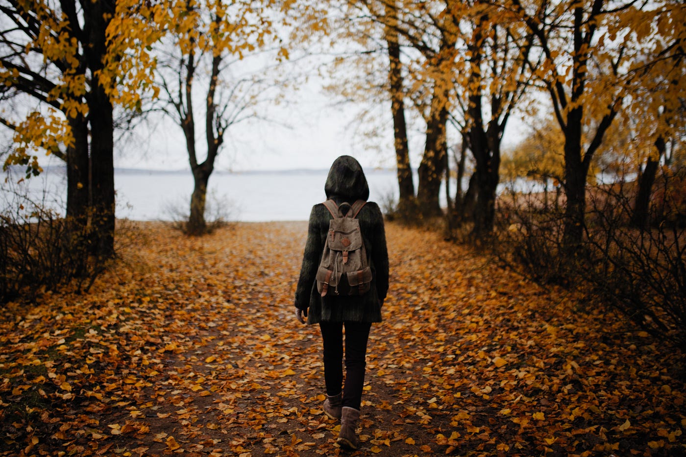 Thinking About Walking. Don't Think About It | by Michael Swaine | Medium