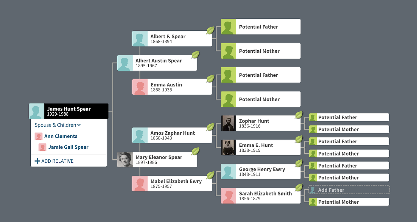 A screenshot from a draft family tree of Mary Eleanor Spear on Ancestry.com, included by permission