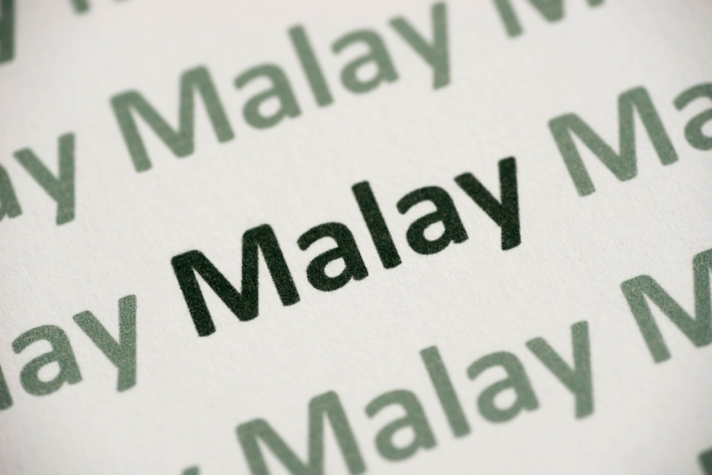 Top 50 Best Malay Slang Words You Must Know In 2021  by Ling 