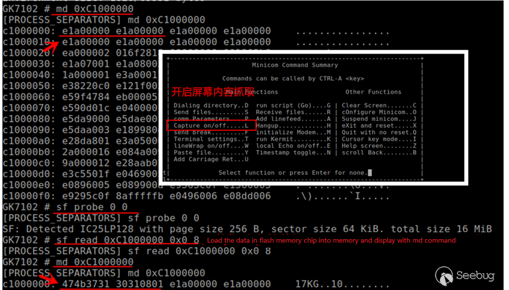 Getting Started Tutorial — How to Explore the Camera Vulnerability