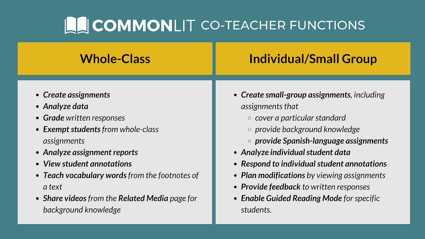 A chart that shows whole-class and individual/small group co-teacher functions. 