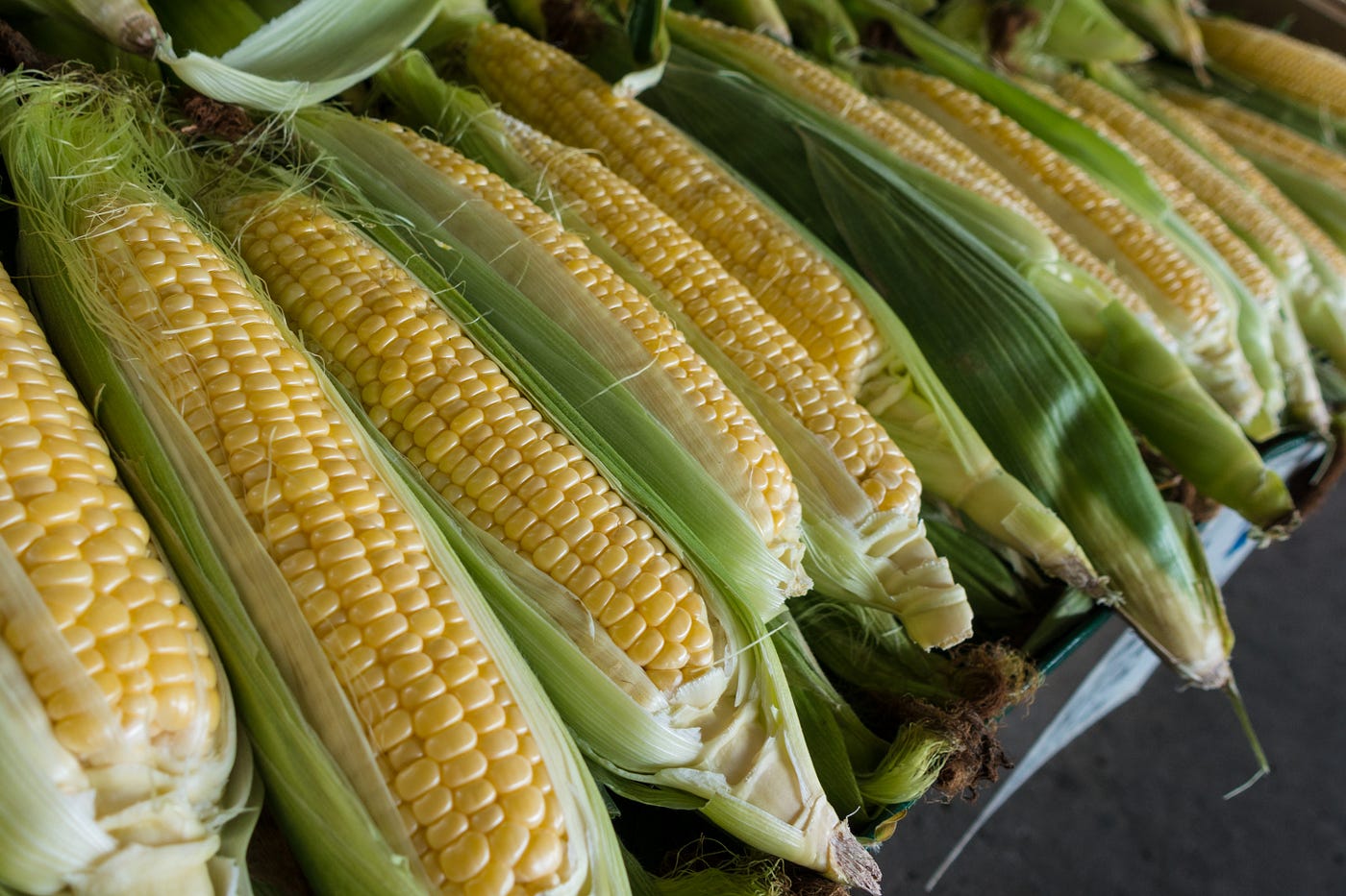 The Science of Being a Corn Head. How corn is involved in everything you… |  by Erica N | Medium