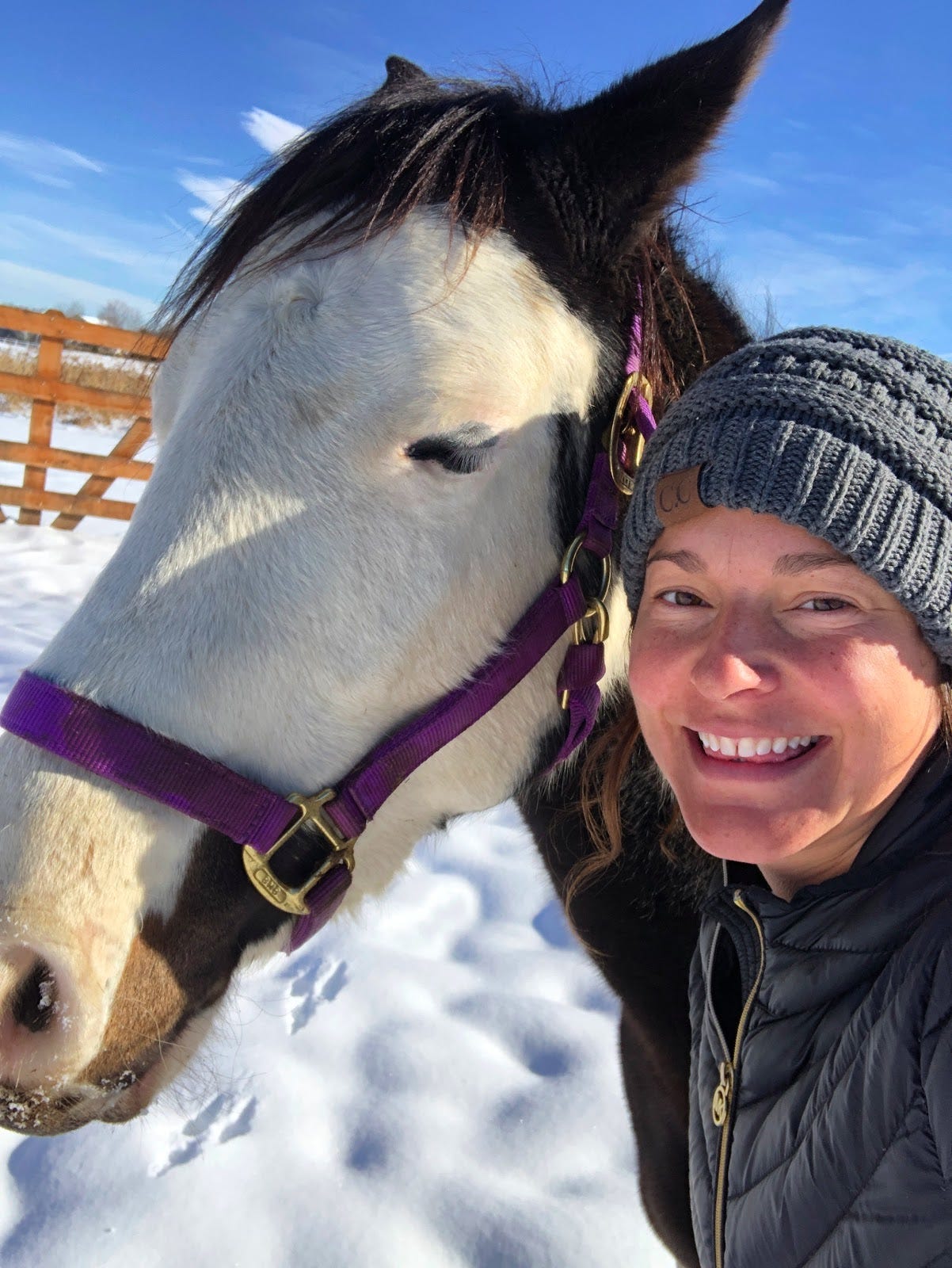 What Do Horses Know About Making Money By Alison Alma Cox Medium