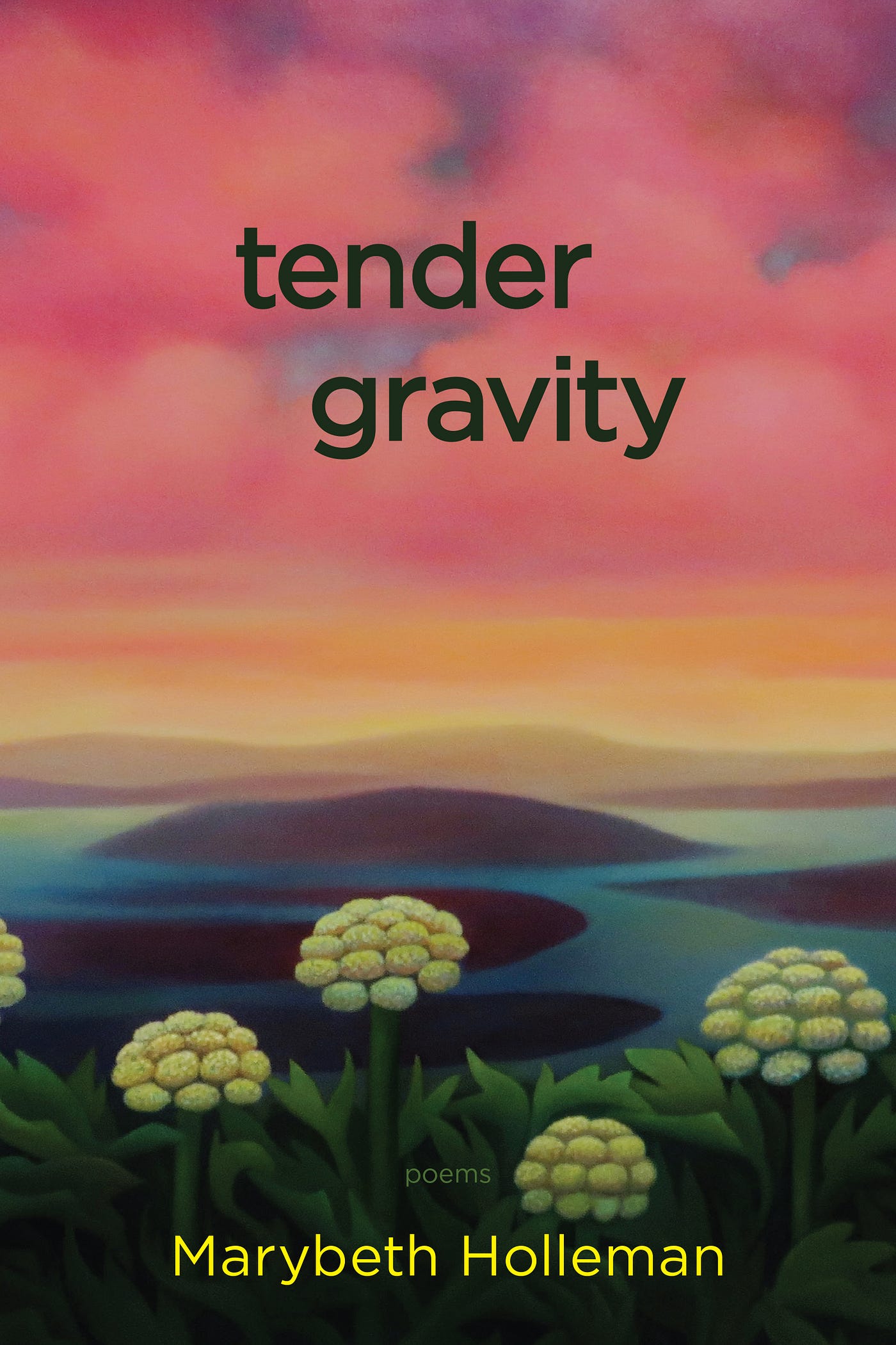 The cover of tender gravity with a drawing of a field with flowers and mountains