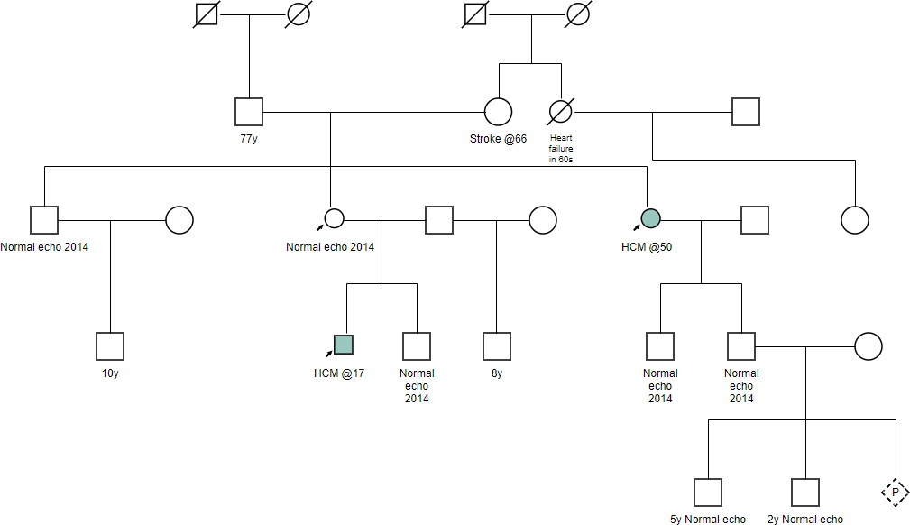 What Is A Pedigree Chart How To Draw One By Warren Lynch Medium