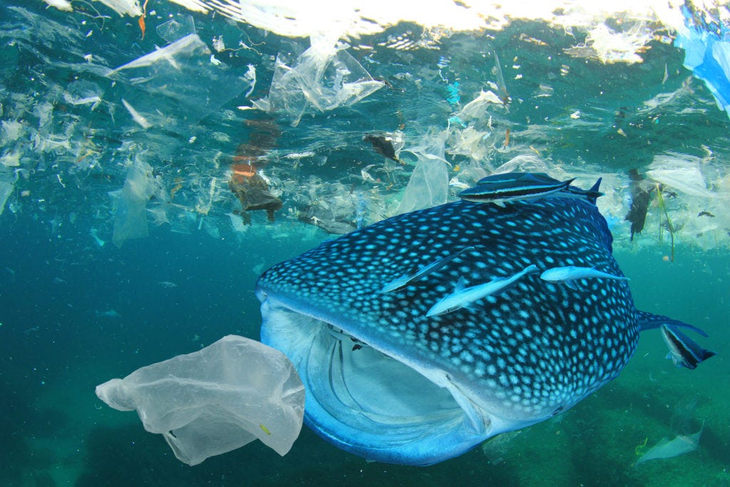 ocean pollution