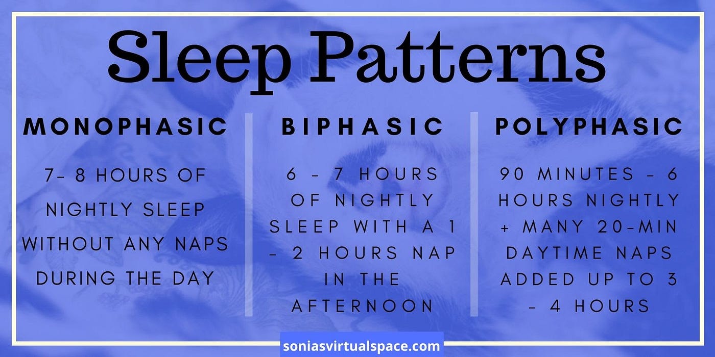 Three main sleep patterns, monophasic, biphasic, polyphasic