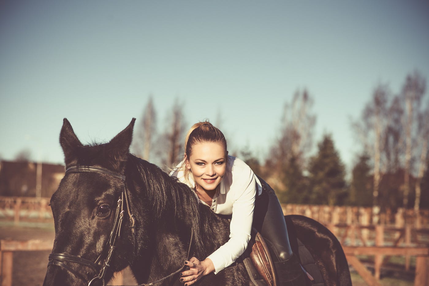 The Horse Capital of the World Presents the World Equestrian Center