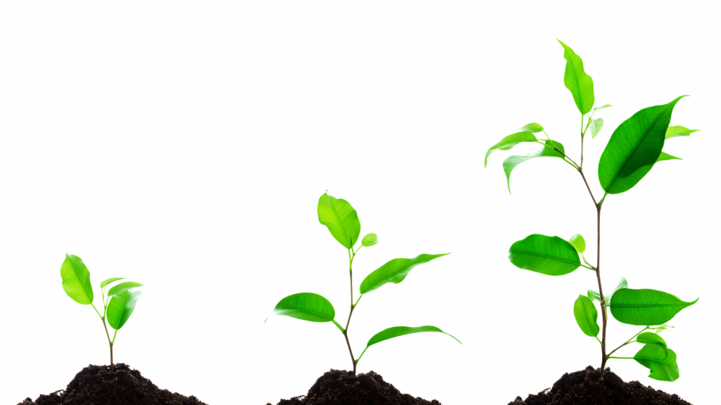 Gain Organic Followers
