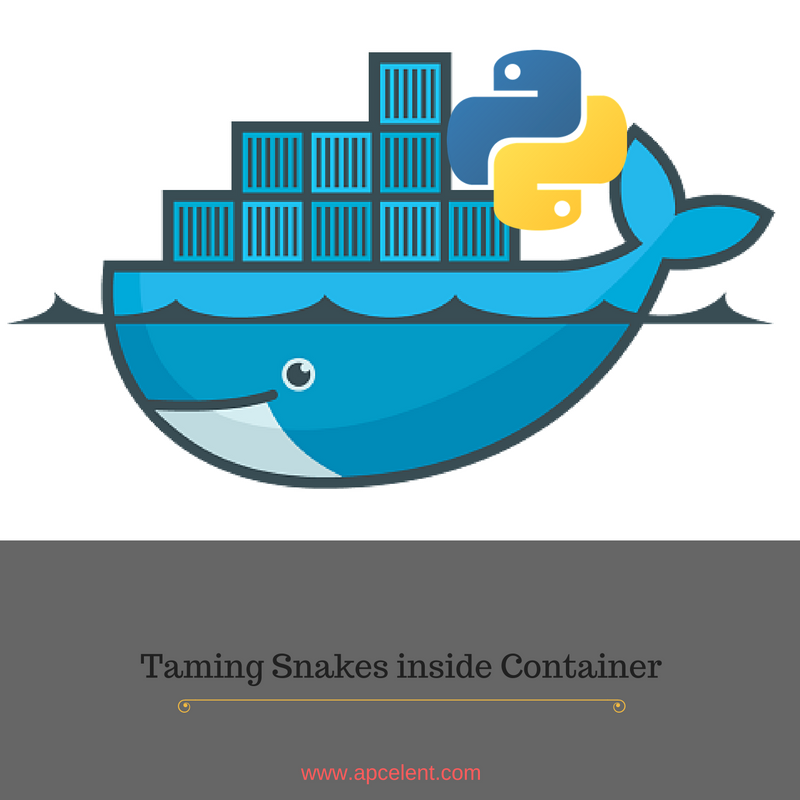 Taming Snakes inside a Container. In this post lets talk about taming ...