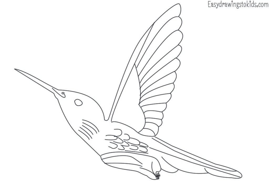 Top 21 Birds Drawings with their names (Birds coloring pages) by Artist Mind Medium