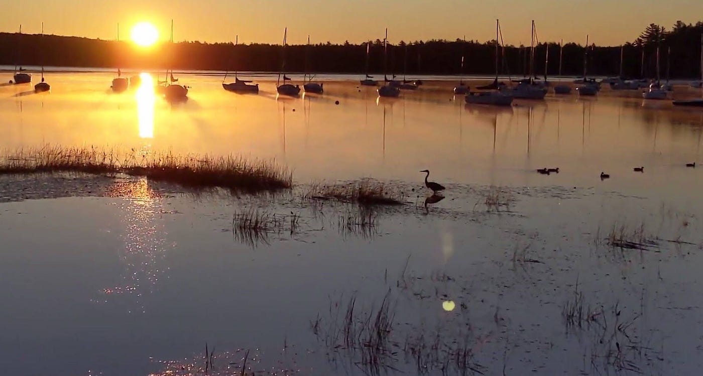 Sunrise on Massabesic with The King!