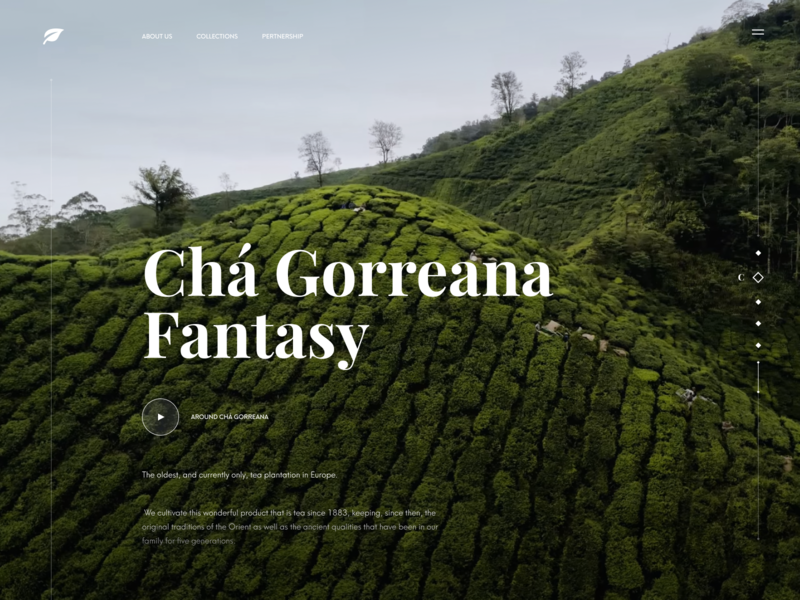 Tea company website concept