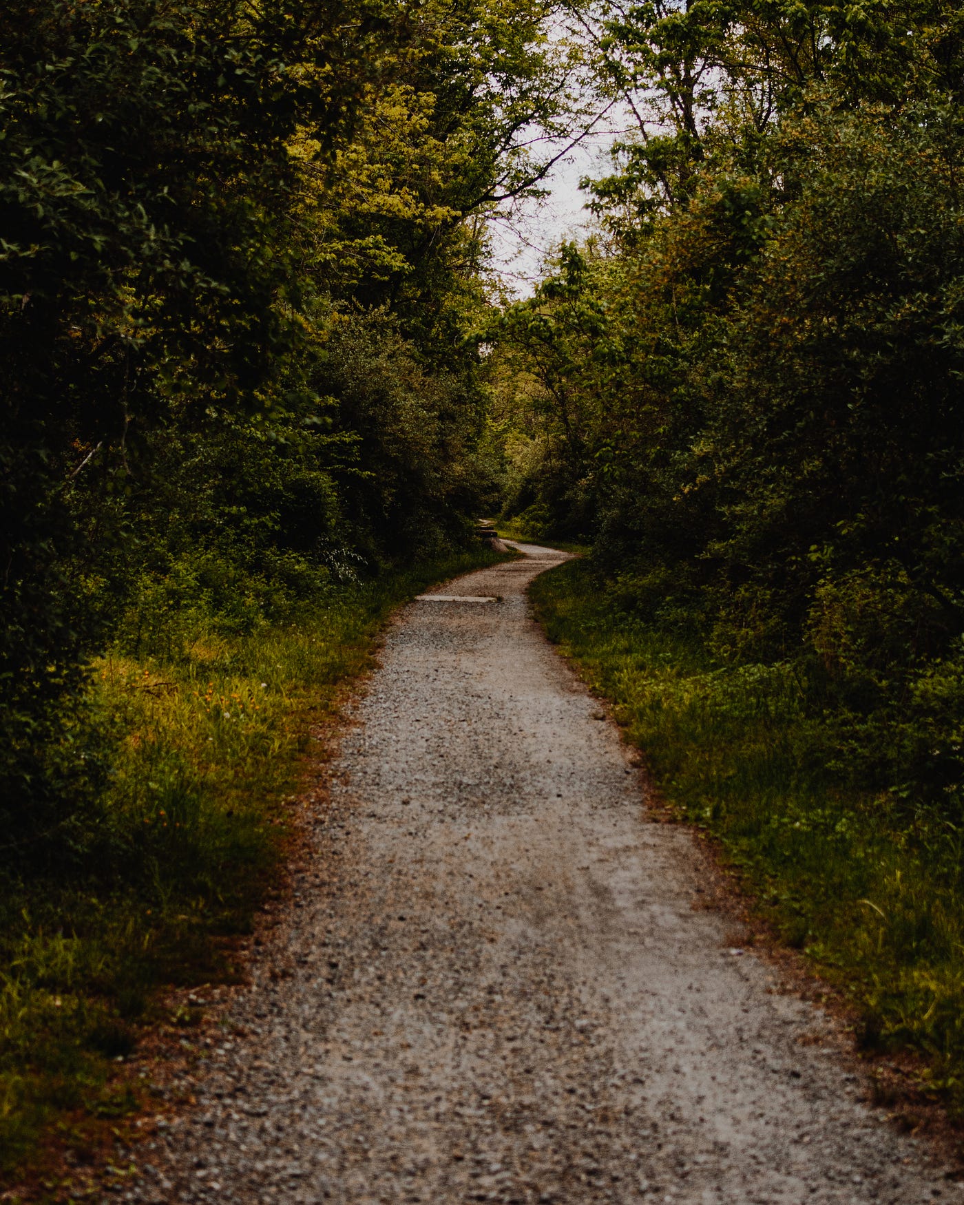 Sierraxrain: The Search For Answers Continues - 2ydq9ti