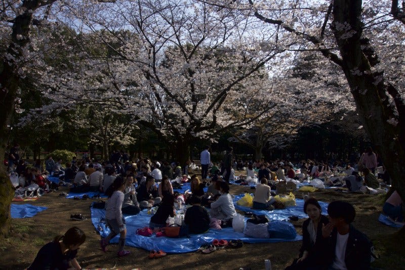 PARQUES DE TOKIO - Yoyogi O La definición de un espacio público
