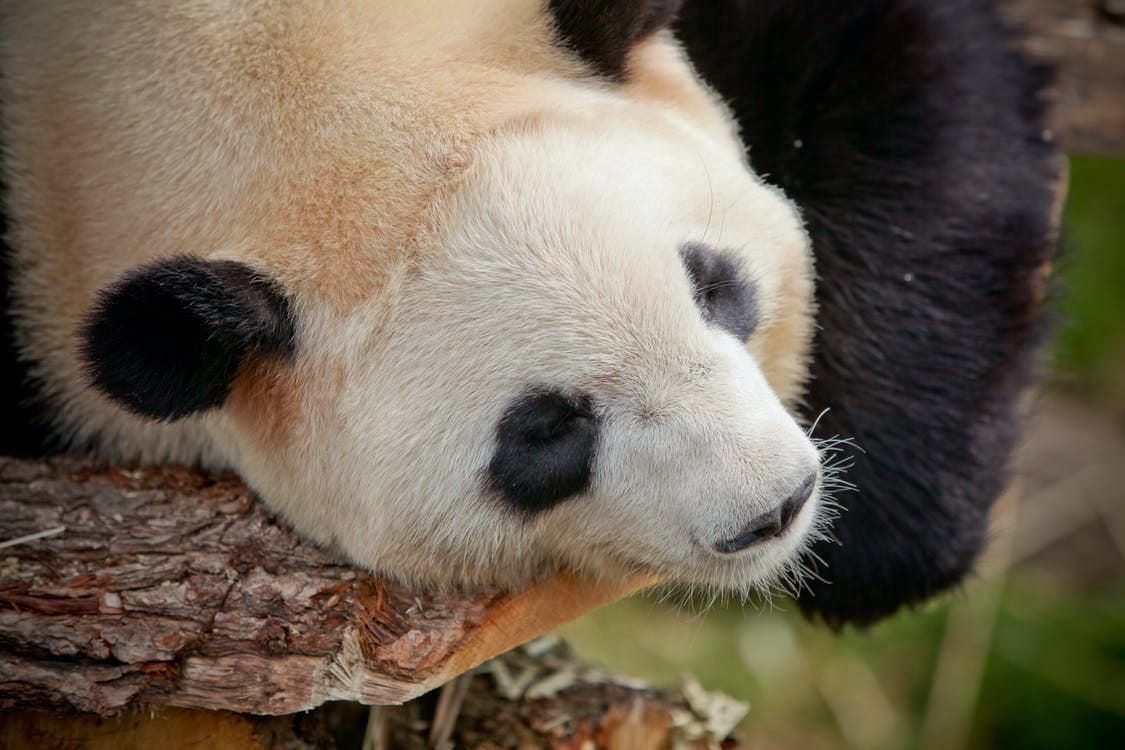5 pandas functions i found to be useful for specific operations by 