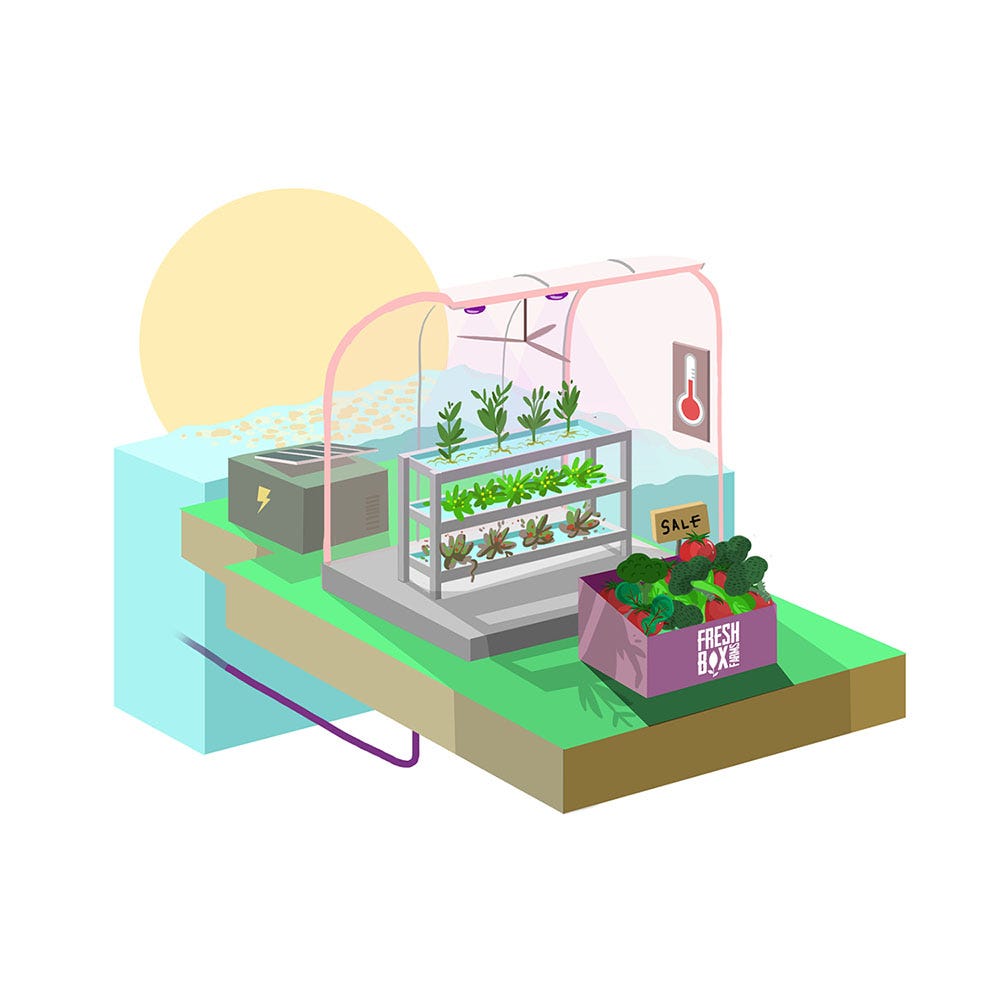 What Does Triple Washed Salad Mean? by Crop One Holdings Medium