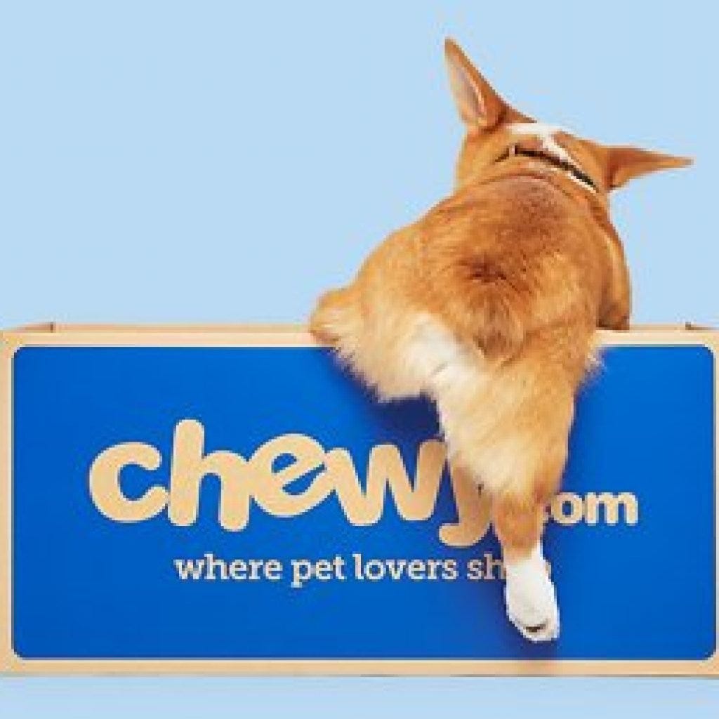 chewy barkbox