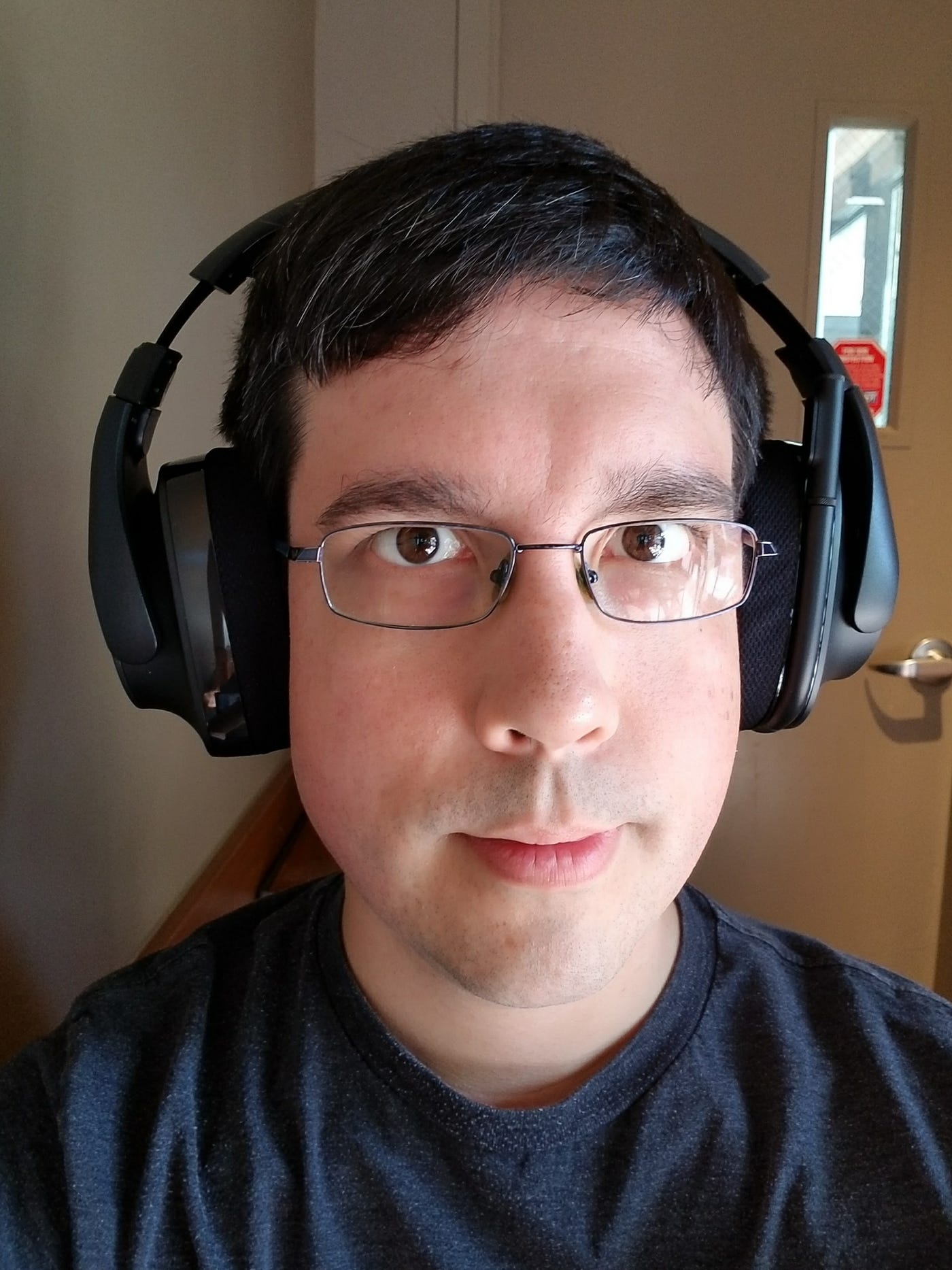 Logitech G533 Wireless Gaming Headset 
