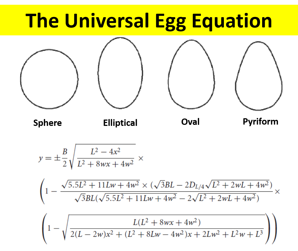 The Universal Egg Equation. The perfect equation for the perfect… by