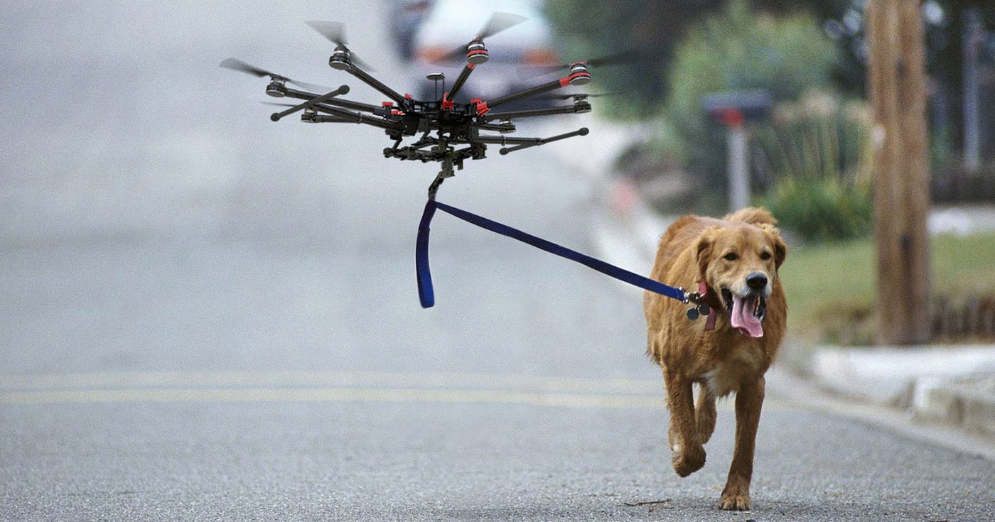 robotic dog walker