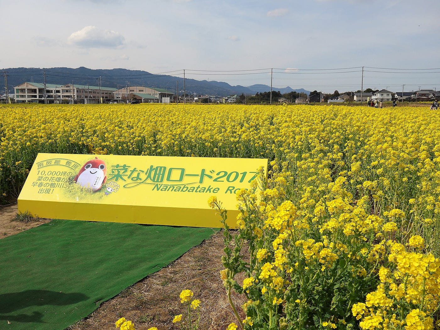 菜な畑ロード で菜の花摘み ミニsl体験 菜の花摘みでひと足先に春を味わおう By Aya Satoh Hoshina ほしなあや いろどり Medium