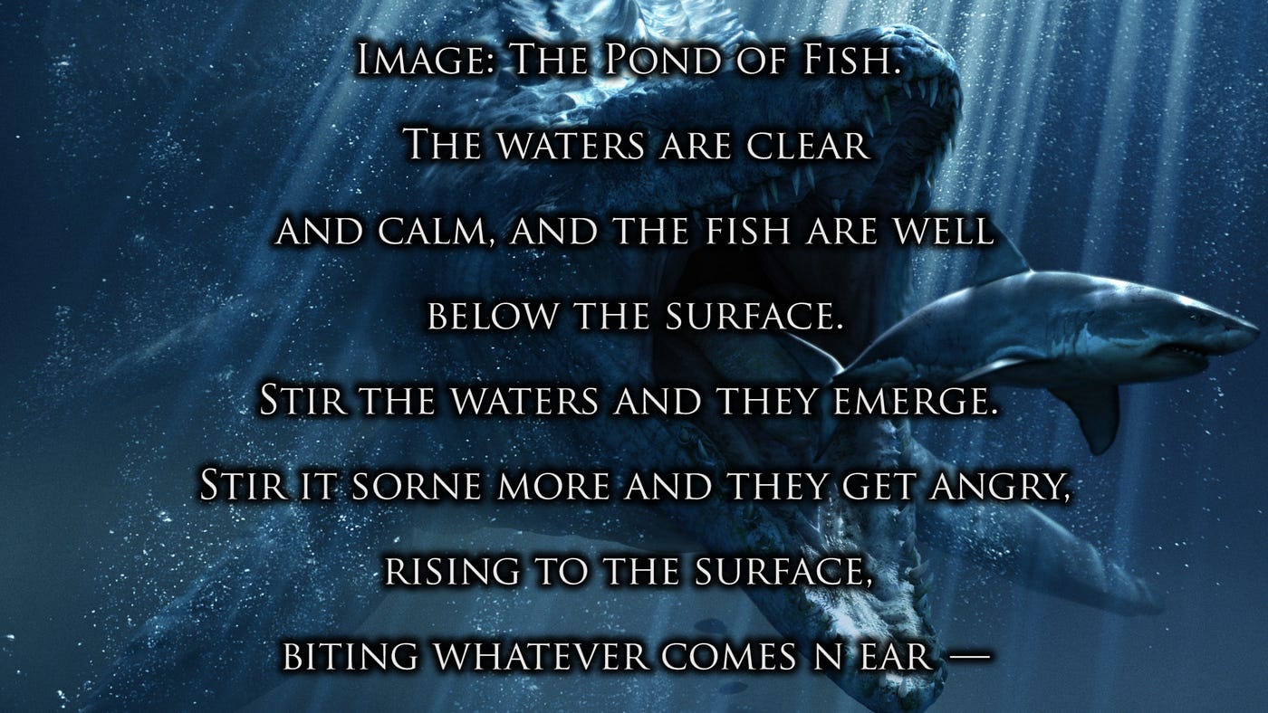 Law 39 Stir Up Waters To Catch Fish By Alexander Emmanual Sandalis Medium