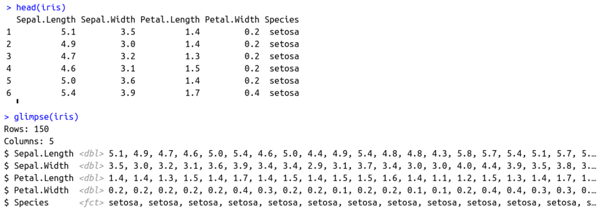 Base R’s head function vs tidyverse’s glimpse function