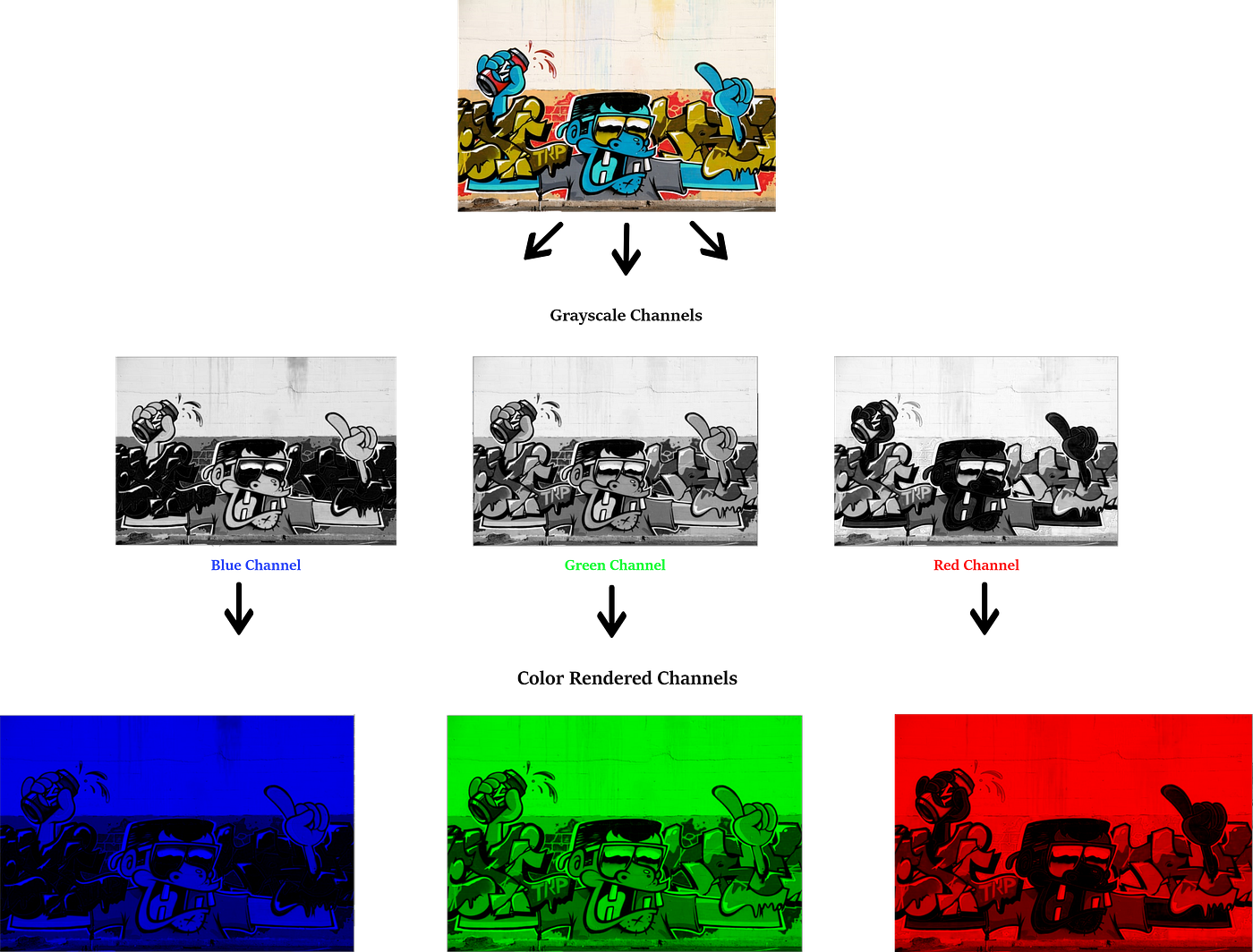 Image Processing with OpenCV | Towards Data Science