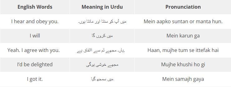 How To Say Yes And No In Urdu 30 Easy Ways By Ling Learn Languages Medium