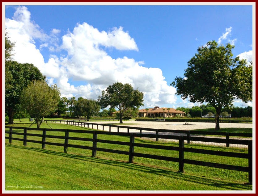 Palm Beach Point in Wellington FL Equestrian Homes for Sale Market