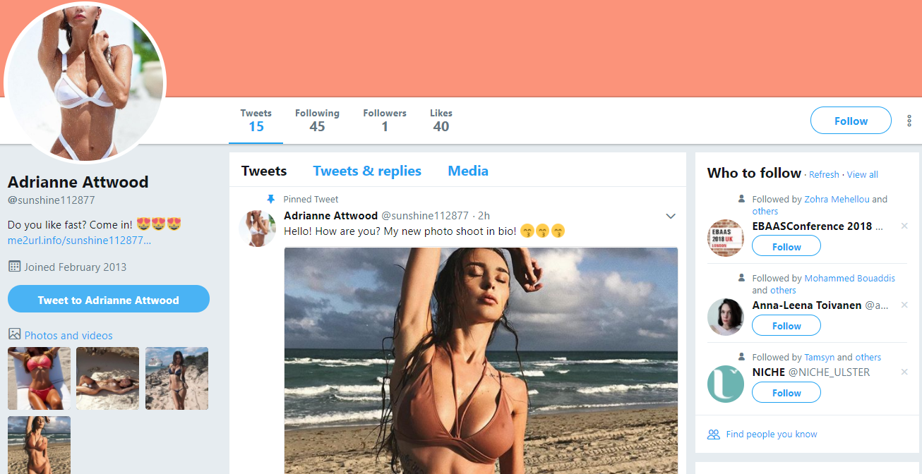Fake nude followers on Twitter - how to handle? 