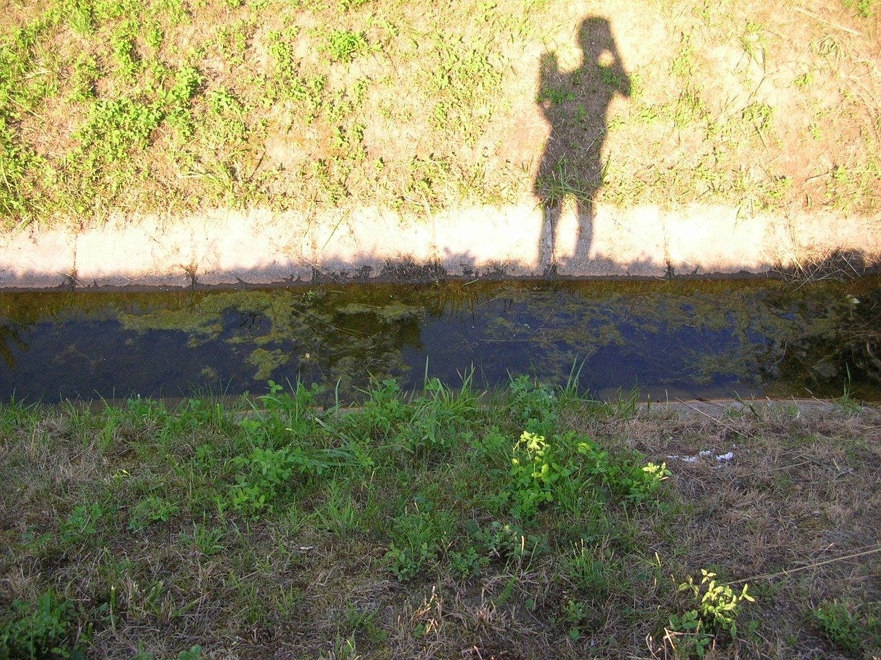 Child’s shadow near a stream.