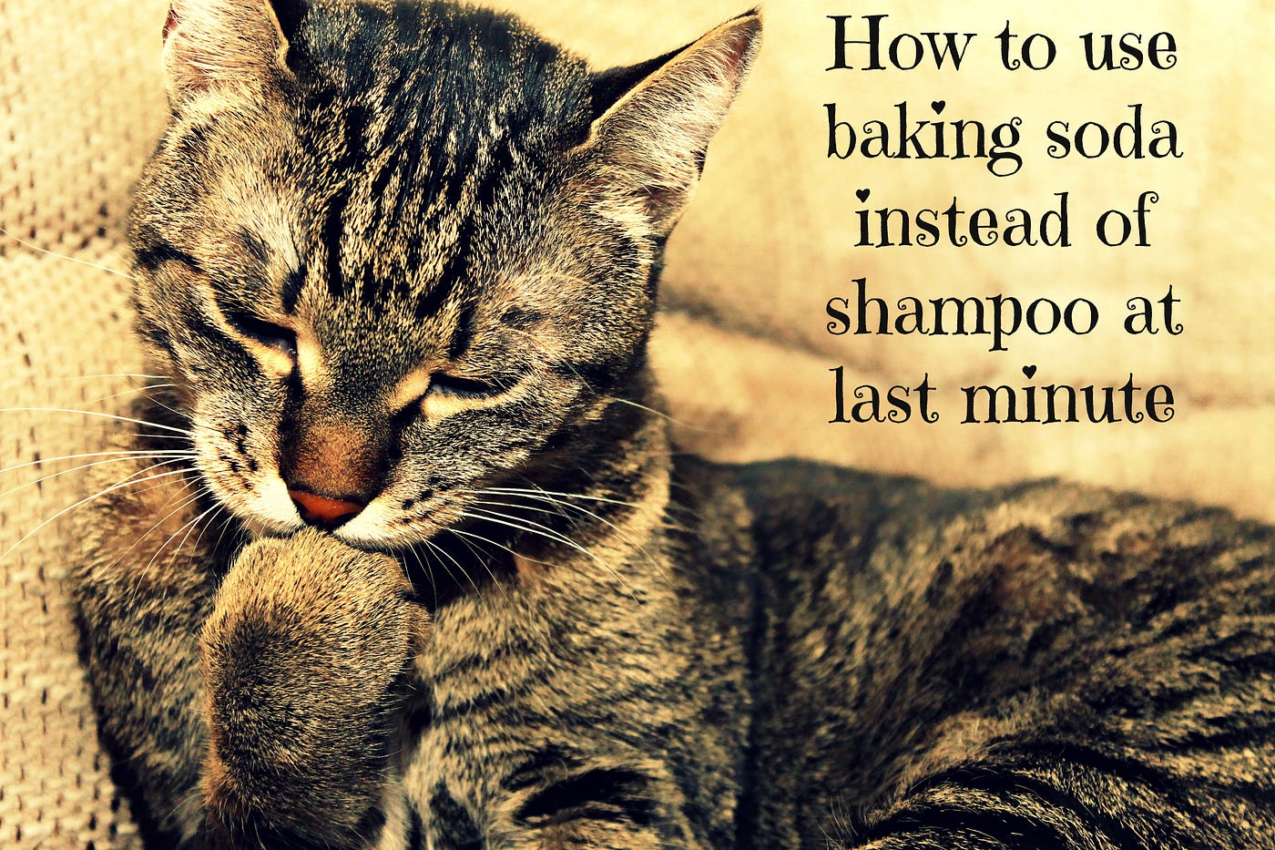How to use baking soda instead of shampoo at last minute by aditi