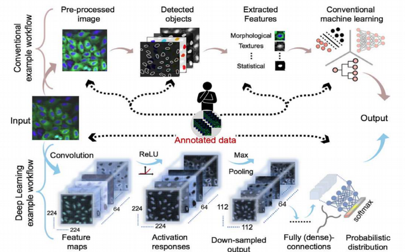 Deep Learning on Microscopy Imaging by Nikolay Oskolkov Towards
