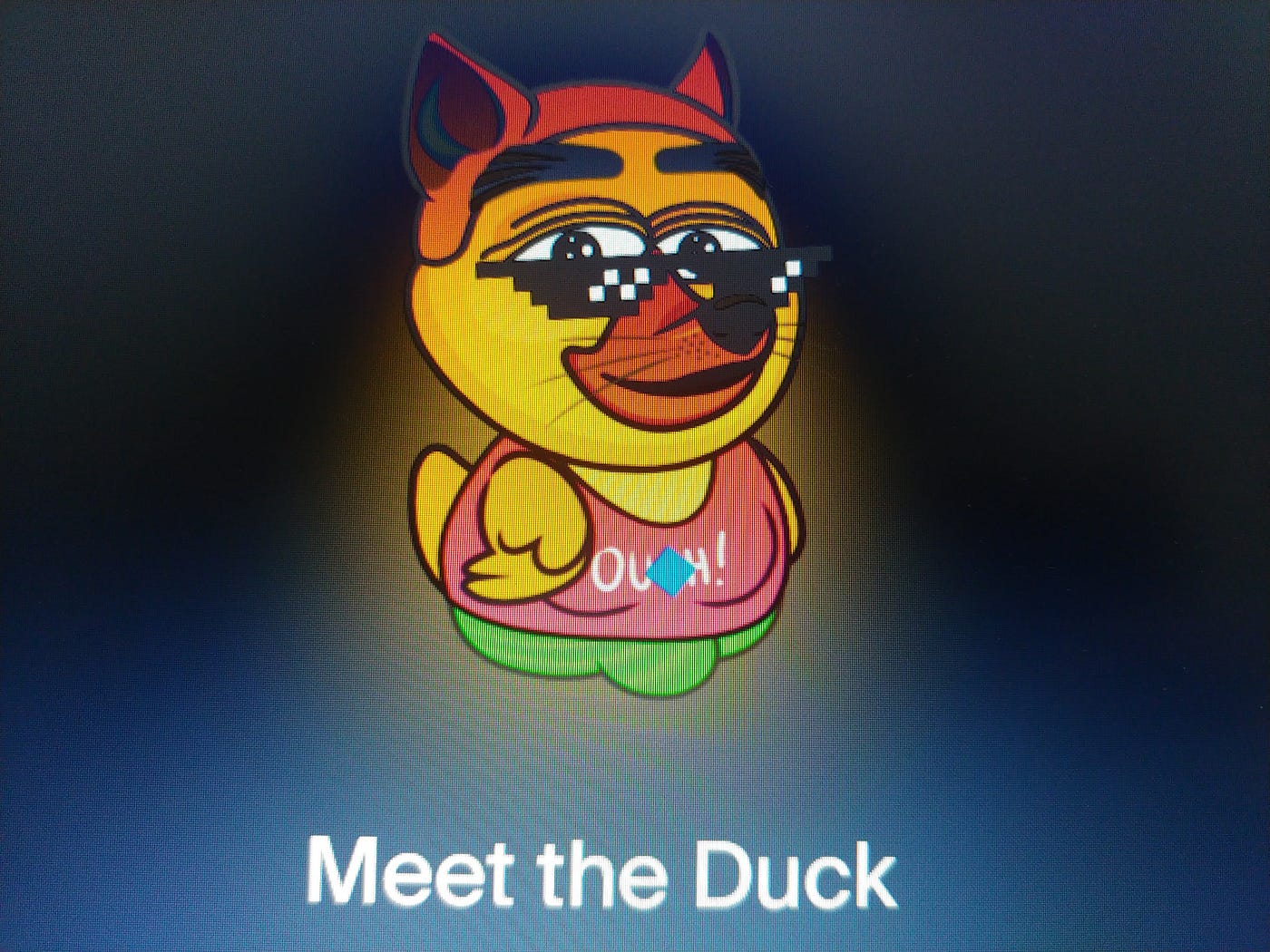 https://wavesducks.com/
