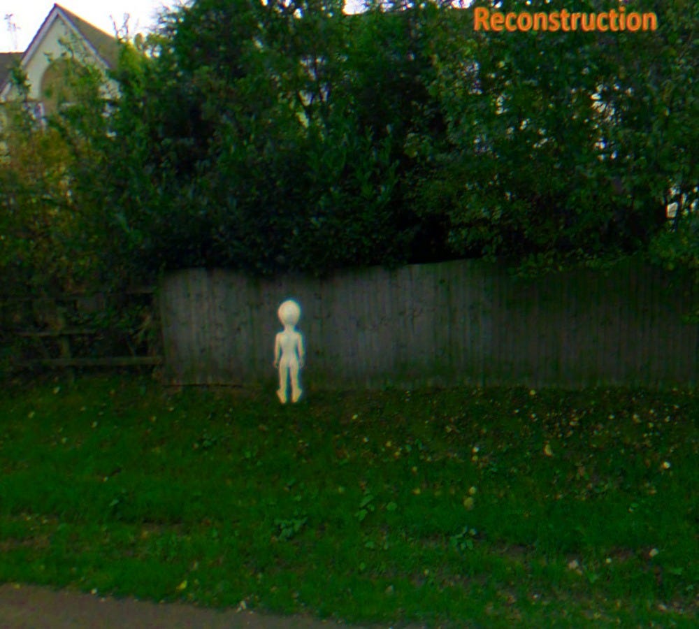 Jetty Marsh Road Encounter,. It was 530 am in the morning and it… by