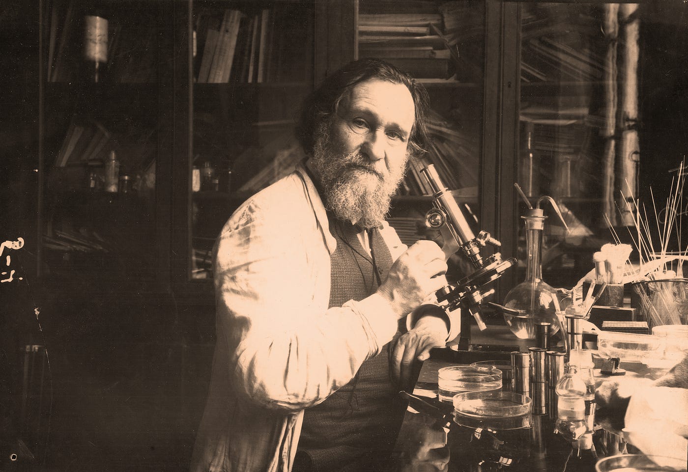 One yogurt, 100 years of science. Since their discovery by biologist