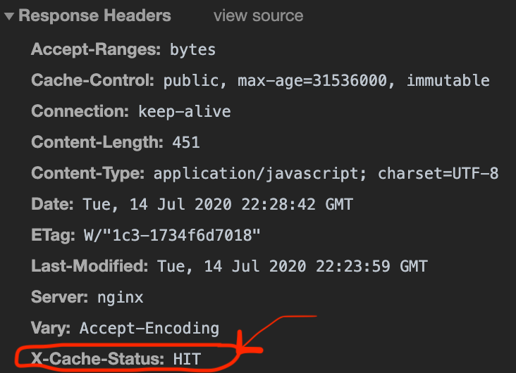 Nginx caching seen in browser developer tool