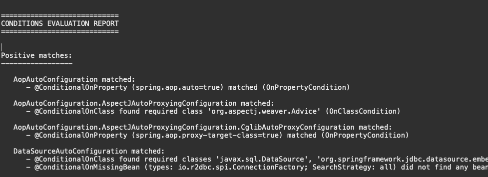 conditions evaluation report spring boot