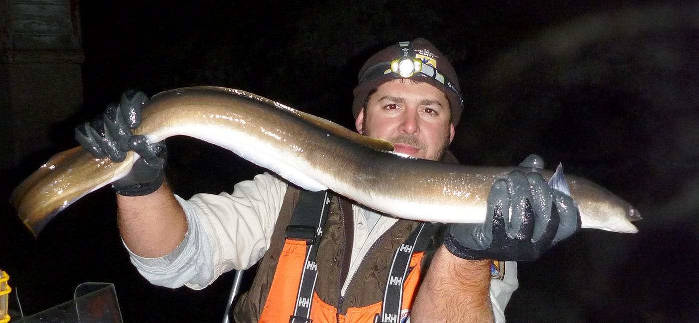 a man holds a large eel in outstretched arms