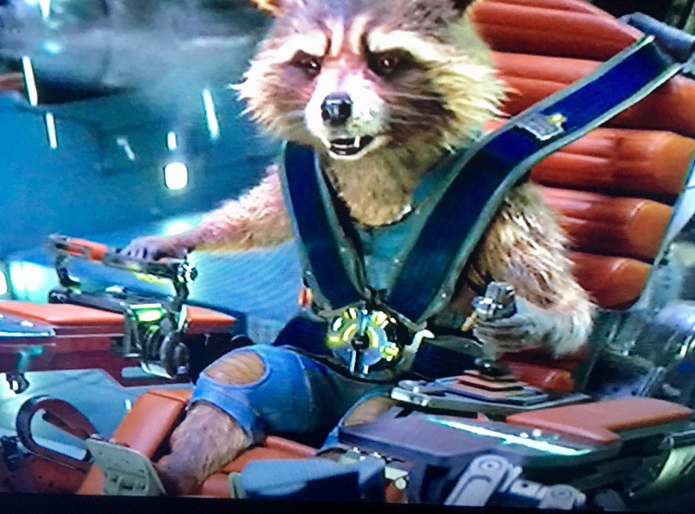 AMA … Calling uopn herCreation. Raccoons answerPlease… Gaia | by kurt