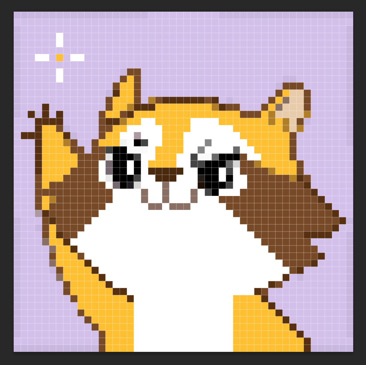 Raccoon Chan Medium Raccoon Chan Medium