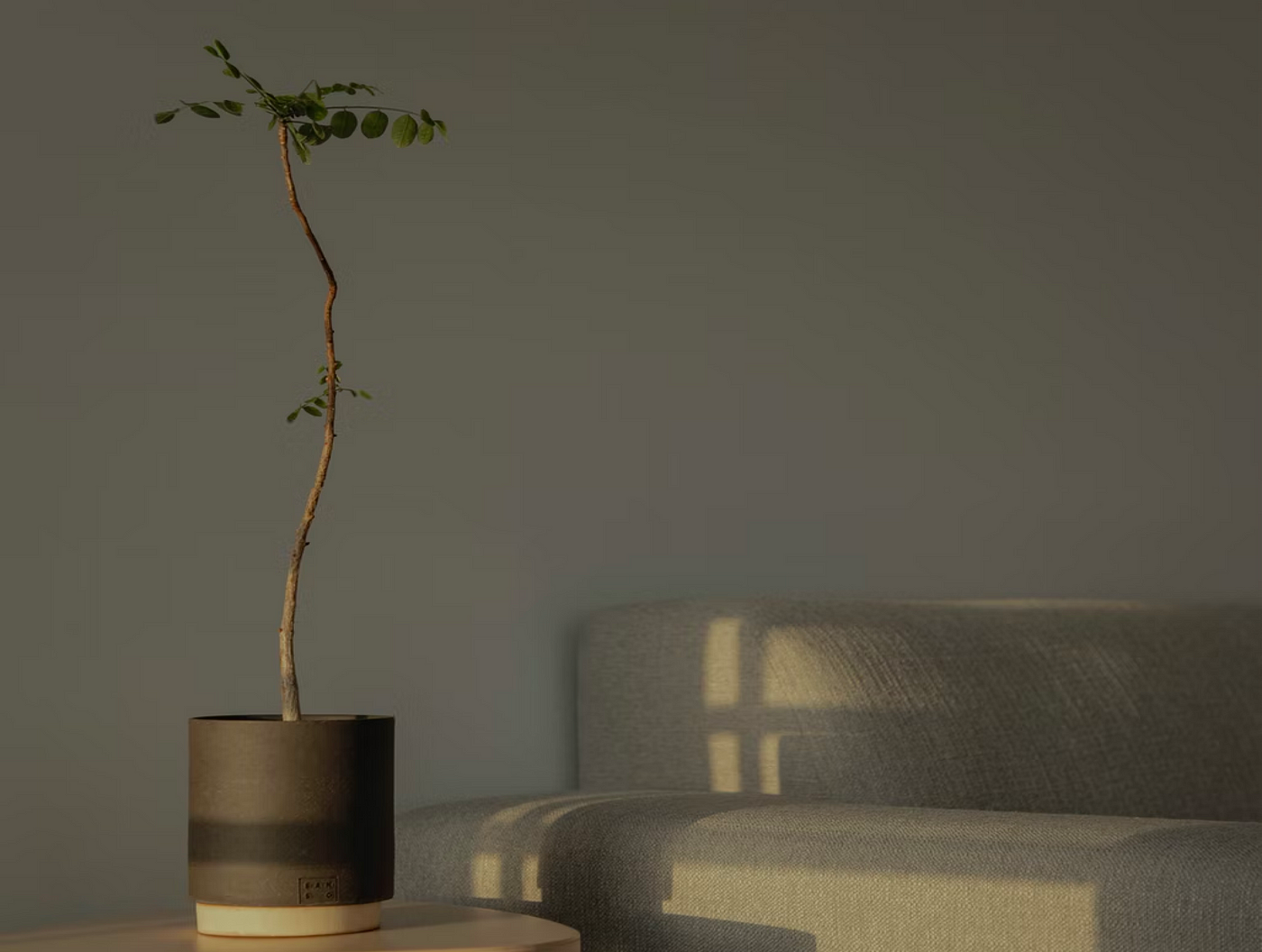 Ambient interior image with soft shadows