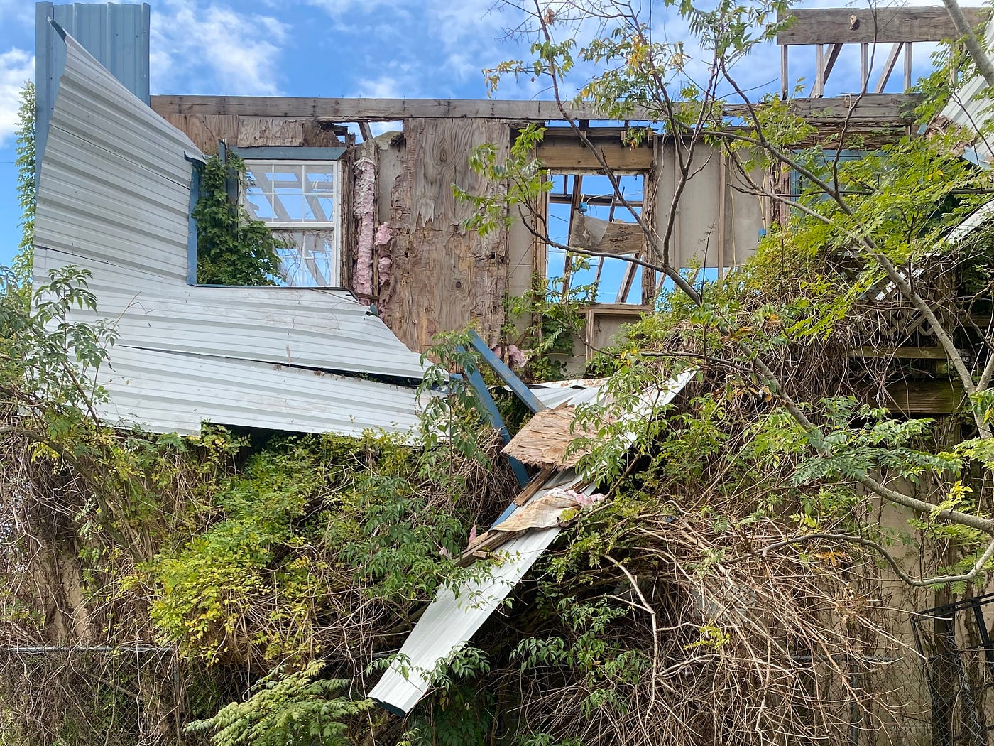 A rundown small building overgrown with plants.