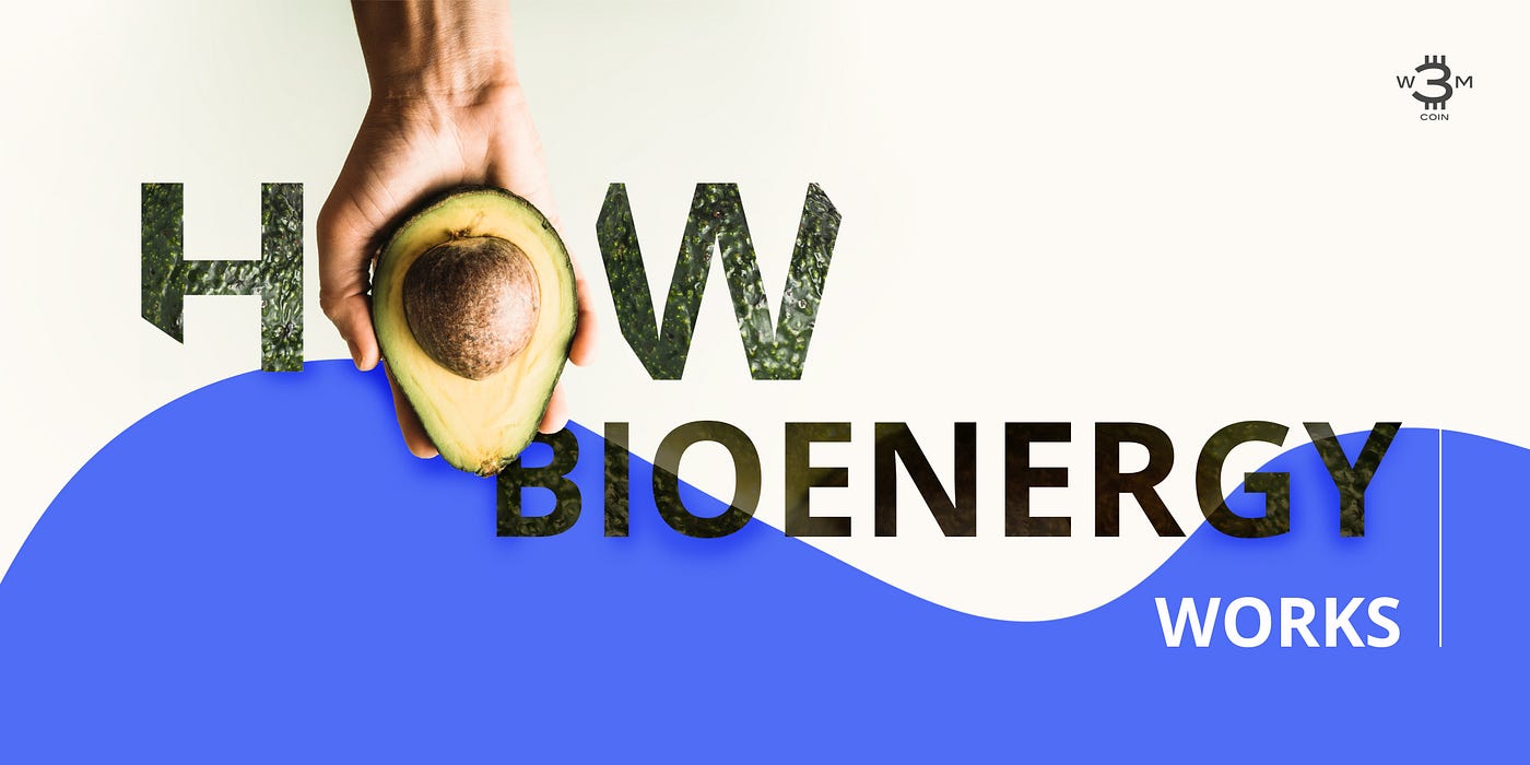 How Bioenergy Works