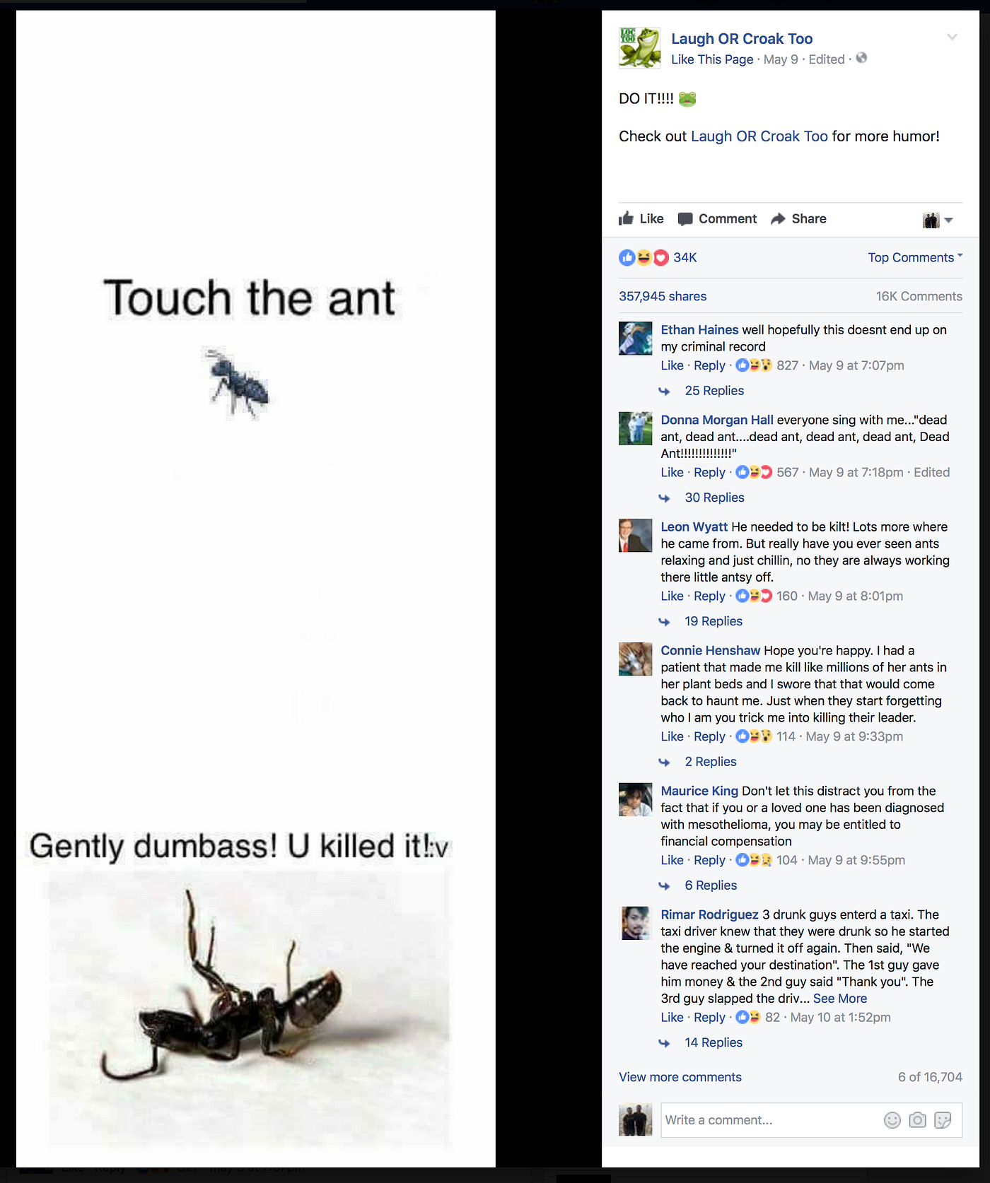 How The Touch The Ant Meme Became A New Facebook Art Form By Jose Duarte Jose Duarte Medium How The Touch The Ant Meme Became A New Facebook Art Form By Jose Duarte Jose Duarte Medium